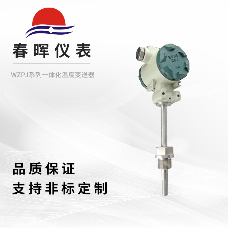 WZPJ系列一体化温度变送器