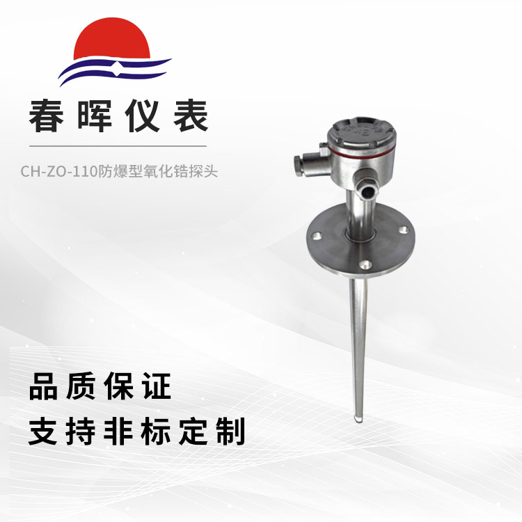 CH-ZO-110防爆型氧化锆探头（检测器）